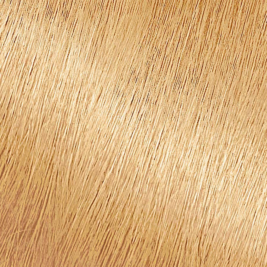 Garnier Nutrisse Nourishing Color Creme 93 - Light Golden Blonde (Honey Butter) Permanent Hair Color